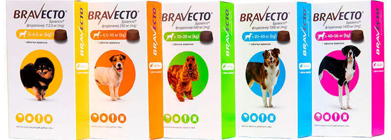 Bravecto (Бравекто) для собак: надійний захист від кліщів та бліх